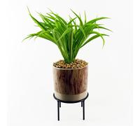 35cm Artificial Grass with Ceramic Planter & Metal Stand Leaf Green One Size
