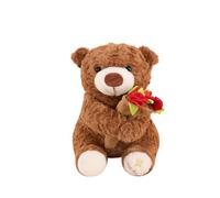 35cm Cuddly Ro-se Bear,Rose Teddy Bear,Teddy Bear Girlfriend,Teddy Bear Plush,Cute Soft Plush Toy With Rose,Teddy Bear Plush,Plush Throw Pillow For Valentines Day, Christmas, Kids, Home Decor
