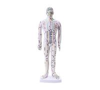 35cm Human Body Acupuncture Model Male Meridians Model Medical Science Teaching Resources