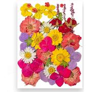 35pcs Dried Pressed Flowers for Resin Molds,Real Natural Pressed Flowers for DIY Art Crafts,Candle Making, Nails Décor,Soap Making, Phone Case