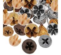 35pcs Xmas Tree Ornaments Christmas Party Mini Eucalyptus Fruits | Dried Fruit Mixed Style, Reusable Smooth Texture, for Festive Décor and Photography Props Random Style