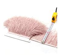 36 Colours Quality Ostrich Feather Trimming Fringe for Millinery Craft Dress Making (Dusky Pink,2 Meters)