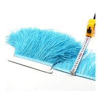 36 Colours Quality Ostrich Feather Trimming Fringe for Millinery Craft Dress Making (Sky Blue,2 Meters)