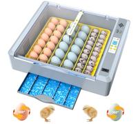 36 Eggs Incubator for Hatching Chicken/Goose/Quail/Duck/Turkey Eggs, 360° View Incubator with Automatic Egg Turning/Humidity Control/Low Humidity Alarm/Adjustable Tray, for Beginner/Farm/Teaching/Home