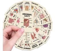 36 Human Anatomy Flash Cards, Organ Physiology Study Aid | 36 human anatomy flash cards with clear labeled diagrams provide a compact study aid for biology and medical learners
