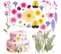 36 Pcs 18 Types of Wildflower Cake Toppers, Flower Cake Decorations, Pressed Flowers, Dried Flowers for Cakes for Birthday, Party, Wedding
