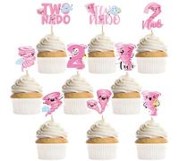 36 Pcs 2nd Birthday Decorations for Girls, Pink Tornado Cupcake Toppers, Cute Two Nado Fun Party Supplies for Girl's Birthday Celebration (9 Designs)