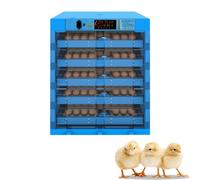 360 Degree View Digital Circulated Air Incubator for Hatching Chicken, Duck, and Bird Eggs