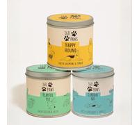 360 Paws Odour Neutralising Candle Trio - Fresh Cotton & Musk, Jasmine & Tonka & Lavender & Neroli | Pet-Themed Tin Candle Set for Fresher Homes, Living Rooms, Bedrooms & Pet Areas