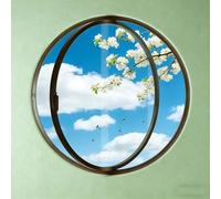 360° Rotatable Round Shed Window with Central Pivot Modern Black Aluminu & Tempered s for Bathroom Basement Ga Ventilat 40cm 15.7in