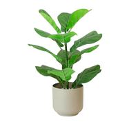365 Blooming Decor 16 inch Faux Fiddle Leaf Fig in Minimalistic Pot with River Stone, Luxury Realistic Potted Fake Ficus Lyrata for Living Room Home Office and Kitchen Table Decor