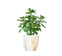 365 Blooming Decor Artificial Jade Plant 12 inch in Marble Pattern Pot for Home, Office Decor, Money Tree, Crassula ovata