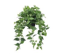 365 Blooming Decor Realistic Artificial Pothos Ivy Plant, Fake Devil's Ivy, for Office, Home Decor, 30" H x 22.8" W, in Contemporary Black Pot //No Assembly Required//fade-resistant.
