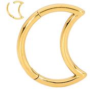 365 SLEEPERS 18G Titanium 8mm 10mm Moon Hinged Segment Ring Helix Tragus Septum Clicker Nose Lip Hoop Unisex Earring Body Piercing Jewellery (8mm)
