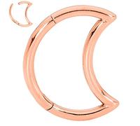 365 SLEEPERS 18G Titanium 8mm 10mm Moon Hinged Segment Ring Helix Tragus Septum Clicker Nose Lip Hoop Unisex Earring Body Piercing Jewellery (10mm)