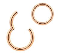 365 SLEEPERS 1Pc G23 Titanium Hinged Segment Ring Hoop - Implant Grade Nickel Free Septum Nose Lip Cartilage Helix Tragus Earring Body Piercing Jewelry, 20G-8G