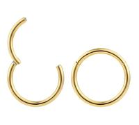 365 SLEEPERS 2PCS Titanium Implant Grade 16G 6mm - 16mm Hinged Hoop Segment Lip Nose Ring Helix Tragus Septum Body Jewellery Earrings (16mm)