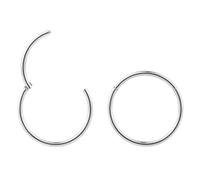 365 SLEEPERS 2PCS Titanium Implant Grade 18G 6mm - 13mm Hinged Hoop Segment Lip Nose Ring Septum Helix Tragus Body Jewellery Earrings (10mm)