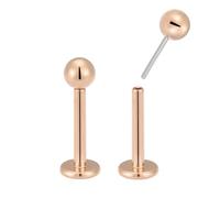 365 SLEEPERS 2PCS Titanium Implant Grade 20G 18G 16G Internally Threadless Labret 6mm 8mm Monroe Lip Ball Tragus Septum Nose Helix Rook Cartilage Earrings Body Piercing Jewellery (16G 8mm)