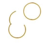 365 SLEEPERS 316L Surgical Steel Hypoallergenic Nose Rings Septum Jewellery Hinged Segment Ring Body Piercing Hoop Lip Rings Helix Cartilage Rook Earrings (18G 11mm)