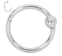 365 SLEEPERS Titanium Implant Grade BCR Ball Closure Septum Hinged Segment Nose Lip Ring Hoop Earring Body Piercing Jewellery (14G 8mm)