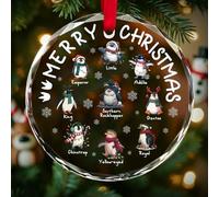 365RUSTIC Penguin Species Christmas Ornament 2025 - Cute Glass Ornament Featuring 10 Types of Penguins - Funny Holiday Decor Gift for Penguin Lovers, Kids, Teachers, Zoologists