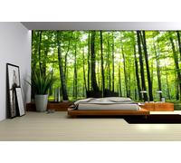 368x254 cm Giant wall mural wallpaper Green sumer forest scene Trees decor