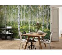 368x254cm Giant Wall mural wallpaper living room Sunny Day forest trees