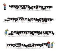 36pcs Model Trains Painted Herder Farm Animals HO Scale 1:87 Black White Cows