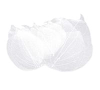 36pcs Natural Skeleton Leaf Natural Scrapbook Leaf Hollow Dry Leaves Decorative Skeleton Leaf for Craft Card Scrapbook