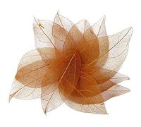 36pcs Natural Skeleton Leaf Natural Scrapbook Leaf Hollow Dry Leaves Decorative Skeleton Leaf for Craft Card Scrapbook