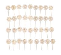 36pcs Plant Labels Watch Me Grow Succulent Tags Safe Wooden Hexagonal Succulent Tags for Flower Pot Decoration Plant