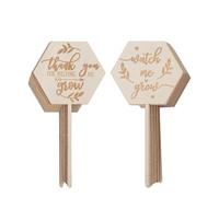 36pcs Wooden Garden Tags, Cute & Vivid Plant Marker Labels, Hexagonal Succulent Tags for Garden and Pots, Non Odor Wood Trim, Sunlight Resistant, Tung Wood Triple Plywood, 1 Pack