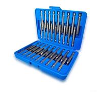 36Piece Extra Long Screwdriver Bit Set 1/4 Inch Shank 75Mm Steel for Torx T8T40 Ph0Ph3 Pz0Pz3 for Storage Magnetic 257Mm Slotted Bits Having 26Mm Shell Hex DIY Plus Professional Usage