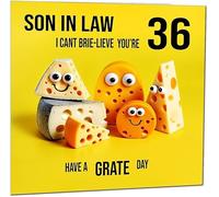 36th Son in Law Birthday Card - Cheese Pun Funny Son-in-laws Birthday Card for 36 Year old thirty six, thirty sixth