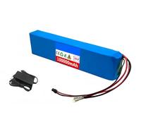 36V 100Ah Electric Bicycle Lithium Battery Lithium Battery Pack, Built-In BMS, with 42V 2A Charger, for 200W- 500W Scooter, Electric Bicycle Motor 36V100AH,XT60+DC