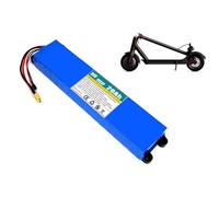 36V 20Ah 10S3P Pedelec E-Bike Battery Built-in BMS Electric Bike Battery Pack Rechargeable Lithium-Ion Battery with Charger for 800W 750W 500W Motor 36V 20Ah,XT60+SM