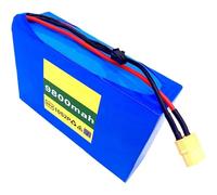 36V 9.8Ah 10S2P Electric Bicycle Lithium Battery Pack with BMS Board, for E-Bike Scooter Power Tools Motors Within 500W, Comes with Charger