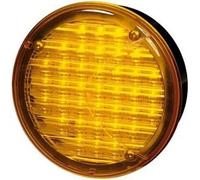 36x Hella 2BA964169-317 Left Or Right Direction Indicator 874804 0874804
