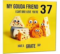 37th Friend Birthday Card - Cheese Pun Funny Best Friend Birthday Card for 37 Year old thirty seven, thirty seventh