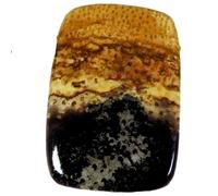 38.45 Cts Petrified Palm Agate Cabochon, Loose Agate Gemstone For Jewelry Making Loose Gemstone Natural Healing Crystal, Releasing Negativity Gemstone By Gemcreation-B0BCX7T100