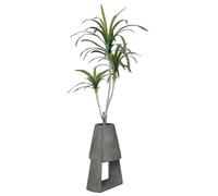 38" Real Touch Artificial Dracaena in Modern Planter - Cute Dragon Tree in a Grey Contemporary Pot