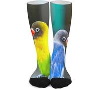 385 Mens Women Socks Love Birds Parrots Sitting Together Ladies Socks Classic Work Socks Unisex Football Socks, For Casual Wear, Yoga, 40cm
