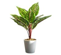 38cm Potted Artificial Calathea Veitchiane Leaf Green One Size