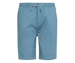 (38R, Coronet Blue) Regatta Mens Aldan Chino Shorts