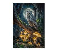 38x26cm/1000pcs Adult Pieces Jigsaw Puzzle Owl in Moonlight Forest Puzzles for Adults Toy Wall Decor Difficult Hard Challenging To Complete 38x26cm/1000pcs