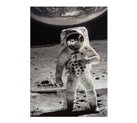 38x26cm/1000pcs Jigsaw Puzzles for Adults From Earth to The Moon Puzzle for Adults Brain Teaser Game Presents for Women Parent-child Interaction 38x26cm/1000pcs