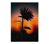 38x26cm/1000pcs Jigsaw Puzzles for Adults Jigsaw Sunflower Sunset Puzzles for Adults DIY Toys Improve Memory Christmas Birthday Gifts 38x26cm/1000pcs