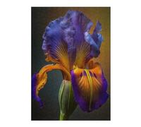 38x26cm/1000pcs Jigsaw Puzzles for Teenagerss Blooming Iris Puzzles for Adults Hands-on Game Difficult Challenge Help The Brain Exercise 38x26cm/1000pcs