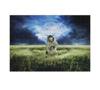 38x26cm/1000pcs Jigsaw Puzzles for Teenagerss Jigsaw Astronaut in Wheat Field Jigsaw Hands-on Game Improve Memory for Birthday, Chrismas 38x26cm/1000pcs